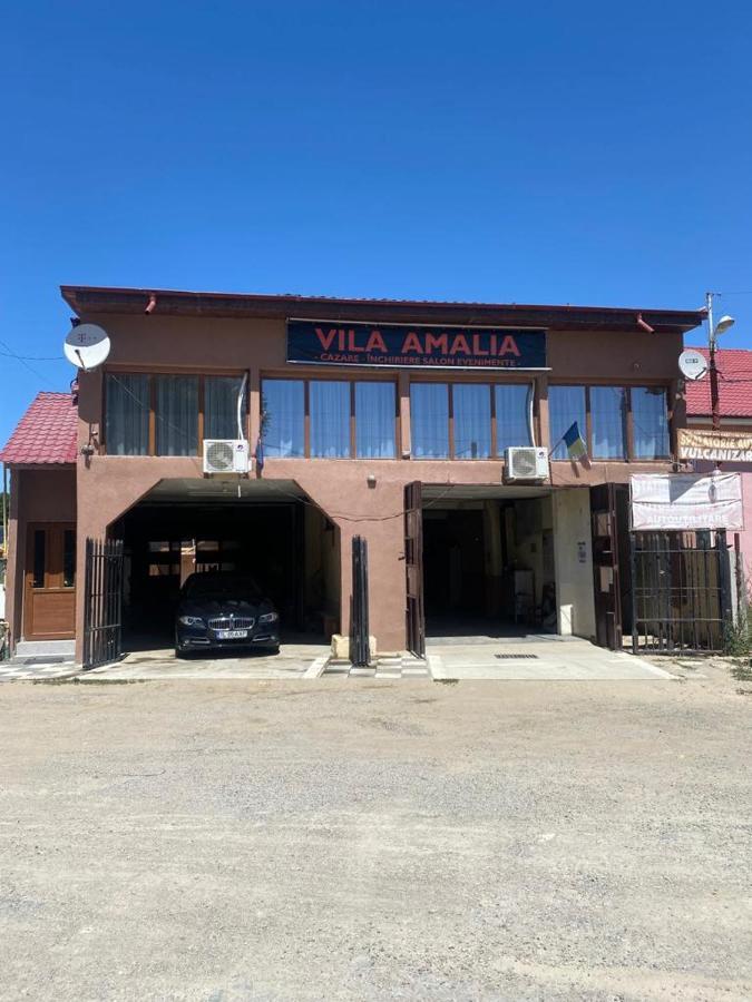 Vila Amalia Muntii Macinului Luaran gambar