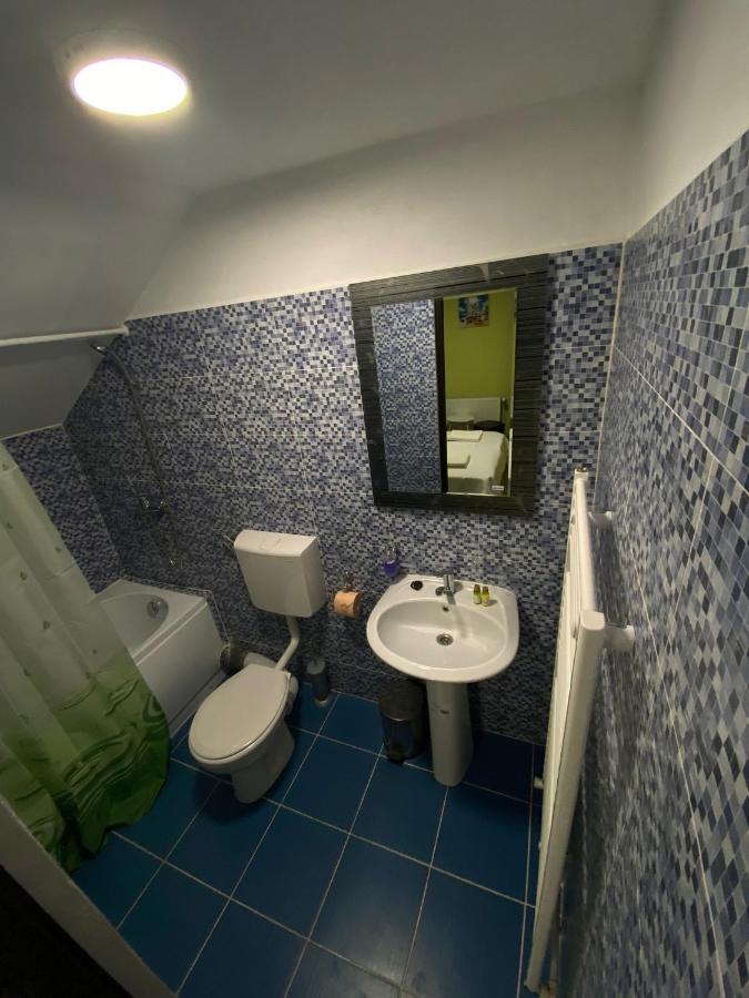 Vila Amalia Muntii Macinului Luaran gambar